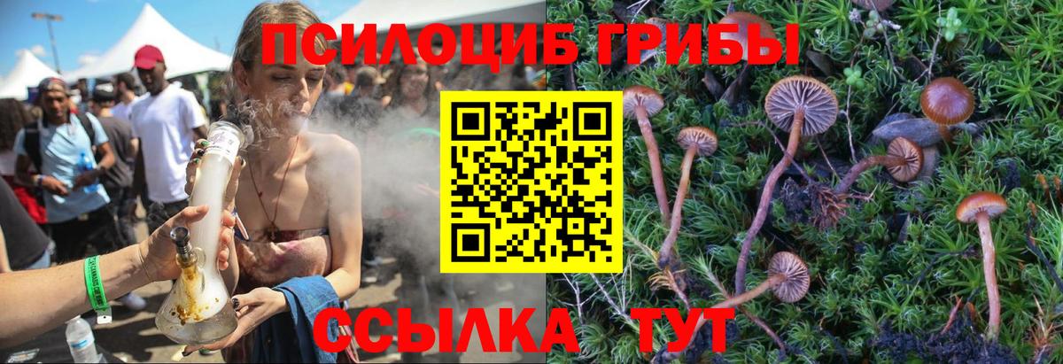 Павлово  Галлюциногенные грибы прущие грибы  Вход с VPN 